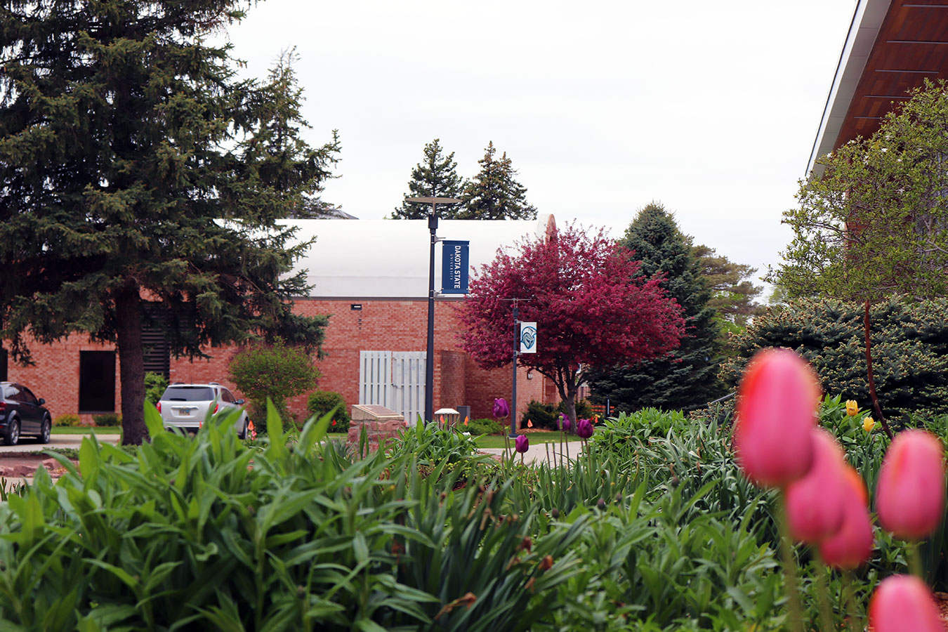 DSU Campus in spring