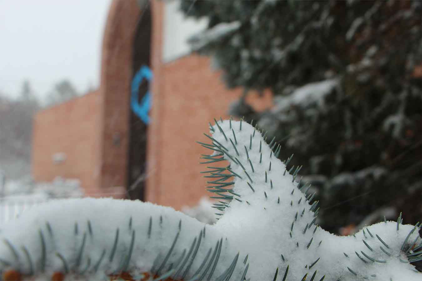 Snowy covered tree branch in front of Kennedy Center which houses the College of Education
