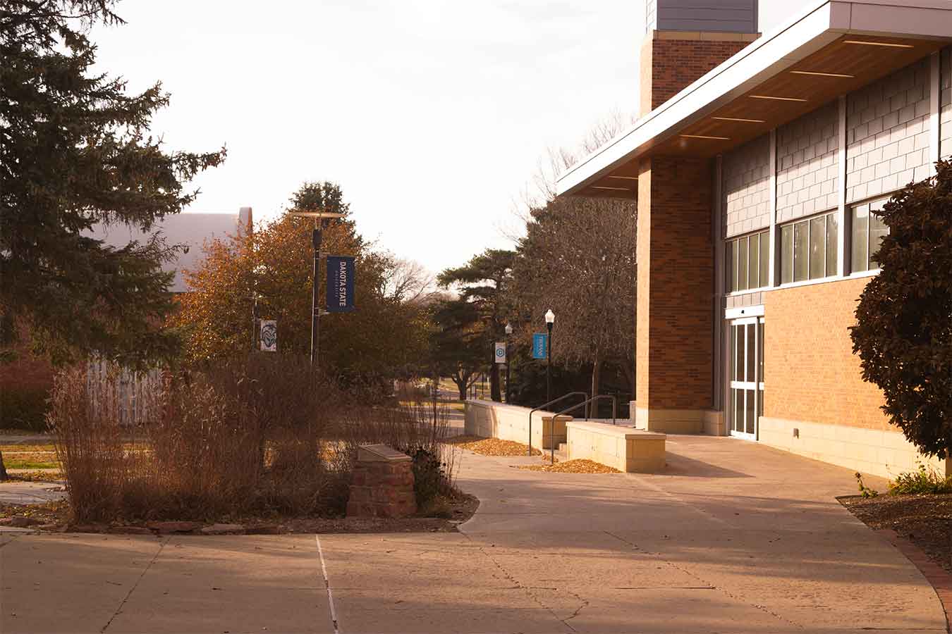 DSU campus photo in fall. 